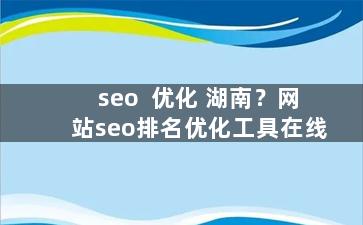 seo  优化 湖南？网站seo排名优化工具在线